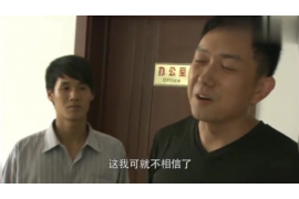 陵川贷款清欠服务