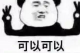 陵川融资清欠服务